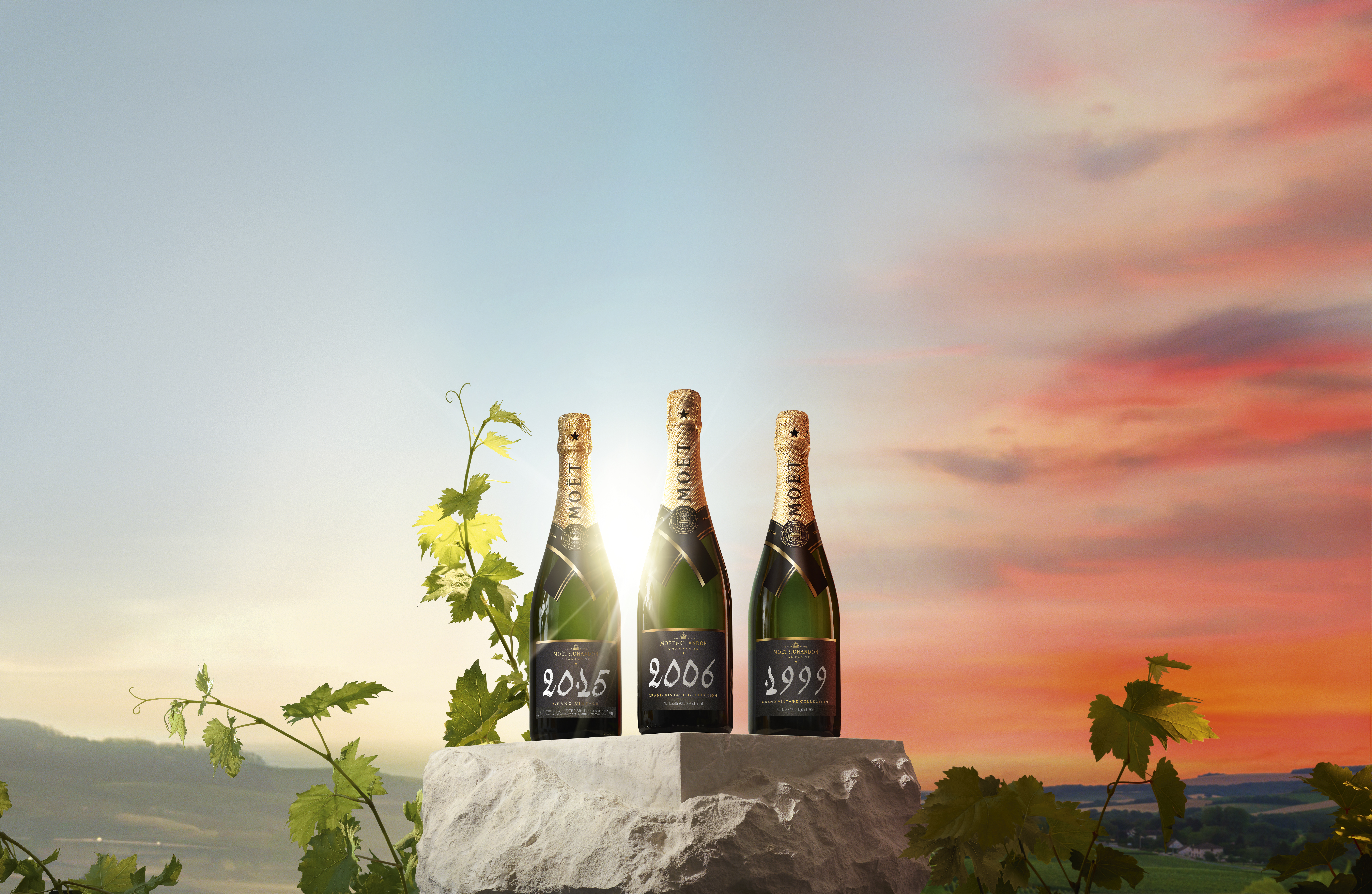 MOET & CHANDON グラン・ヴィンテージ・フルート Moet & Chandon Grand Vintage Brut Champagne / 750 ml