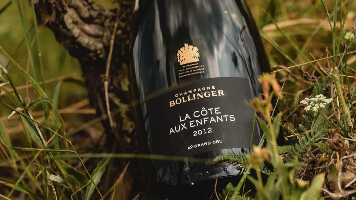 Tasting note: 2013 Bollinger 'La Côte aux Enfants' - Champagne