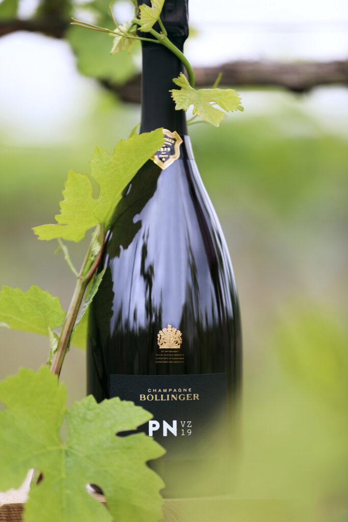 Premiere - 'PN VZ 19' a new edition of Pinot Noir by Bollinger